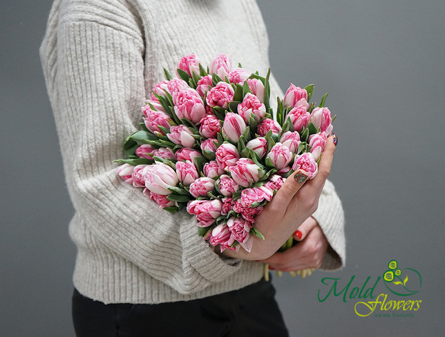 Голландские тюльпаны пионовидные бледно-розовые (под заказ 10 дней ) Фото